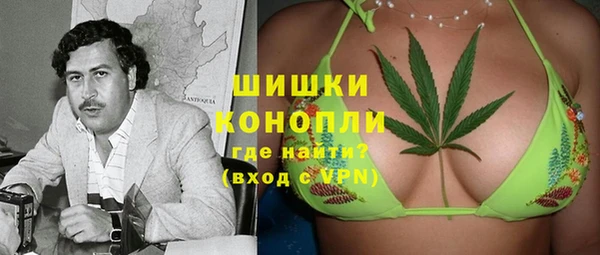 молекула духа Балахна