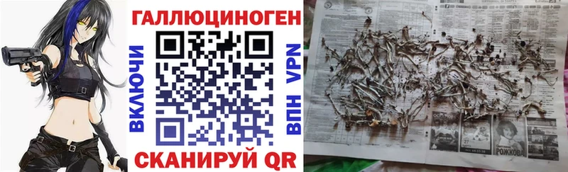 Псилоцибиновые грибы ЛСД  ОМГ ОМГ ссылка  Знаменск  наркошоп 